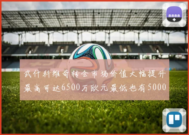 武什科维奇转会市场价值大幅提升最高可达6500万欧元最低也有5000万欧元